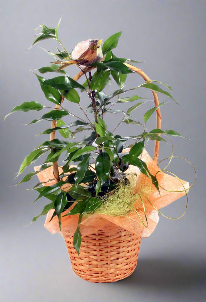 Fikuśny kosz - roze.pl